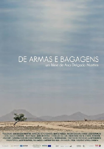 Movie poster for De Armas e Bagagens (2013)