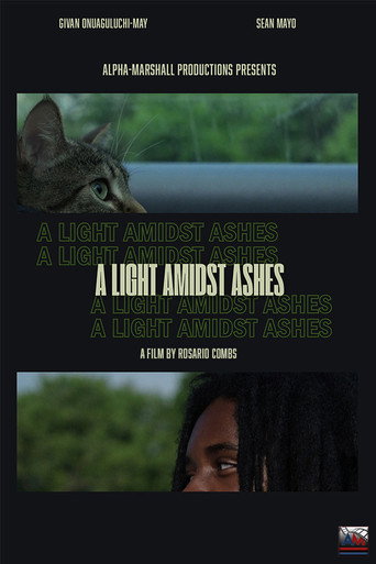 Movie poster for A Light Amidst Ashes (2025)