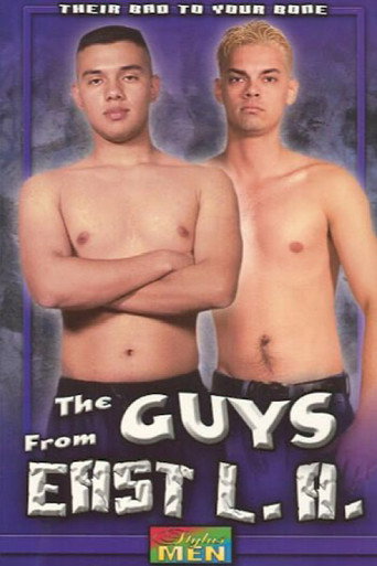 Movie poster for The Guys from East L.A. (2002)