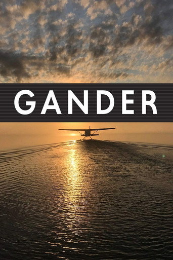 Movie poster for Gander International: The Airport in the Middle of Nowhere (2019)