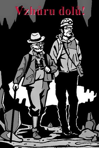 Vzhůru dolů! poster