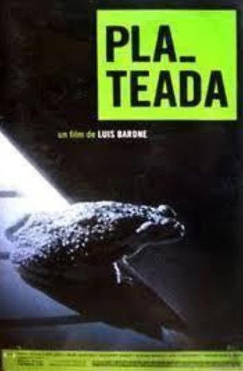 Buenos Aires plateada poster