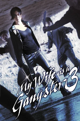 Movie poster for My Wife is a Gangster 3 (2006)