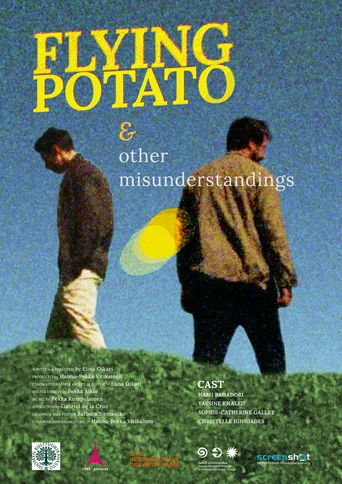 Movie poster for Flying Potato and Other Misunderstandings (2021)