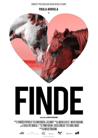 Movie poster for Finde (2010)