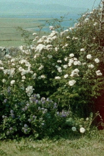 Movie poster for Glimpses from a Visit to Orkney in Summer 1995 (2020)