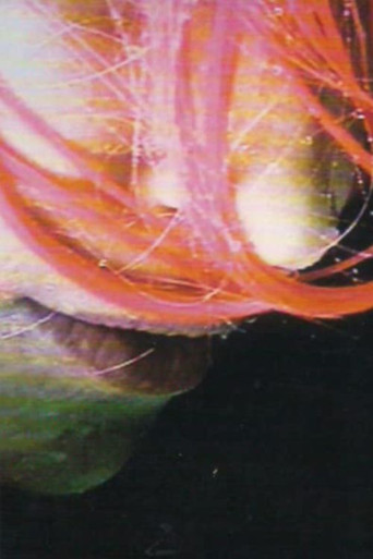 Movie poster for Rainwoman (I Am Called a Plant) (1999)