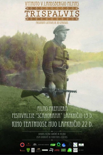 Movie poster for Tricolour (2013)