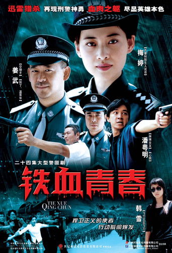 铁血青春 poster