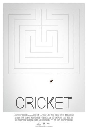 Cricket poster