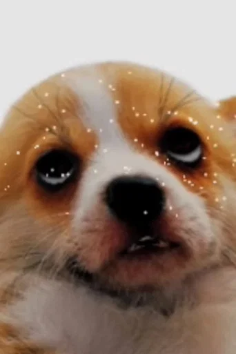 Movie poster for puparazzi (2009)