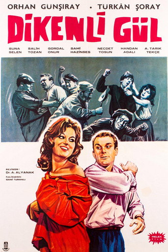 Movie poster for Dikenli Gül (1961)