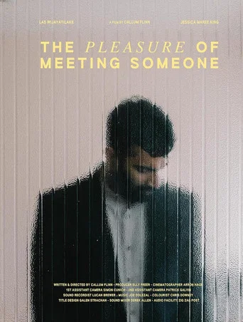 Movie poster for The Pleasure of Meeting Someone (2023)