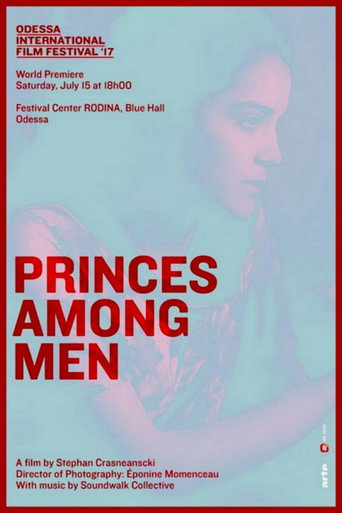 Movie poster for Princes Among Men (2017)