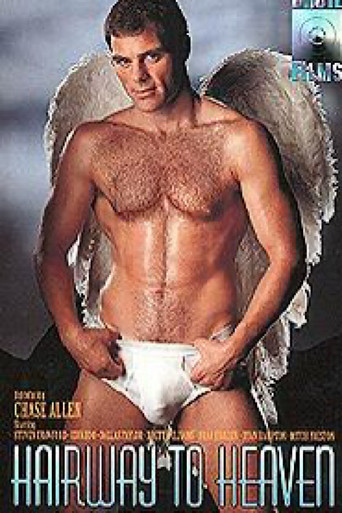 Movie poster for Hairway to Heaven (1995)