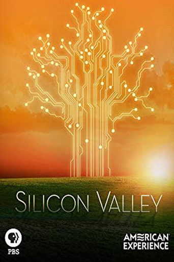 Silicon Valley - Where the Future was Born poster