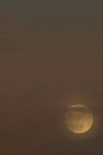 Movie poster for Two Moons (2019)