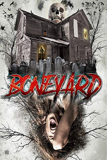 Movie poster for Boneyard (2020)