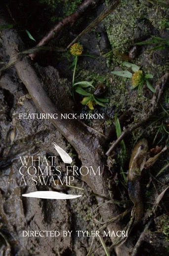 Movie poster for What Comes from a Swamp (2017)