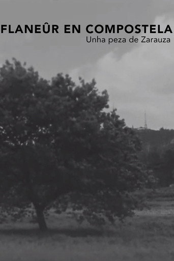 Flanêur en Compostela poster