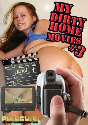 Movie poster for My Dirty Home Movies 3 (2012)