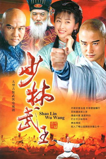 Shaolin King of Martial Arts poster