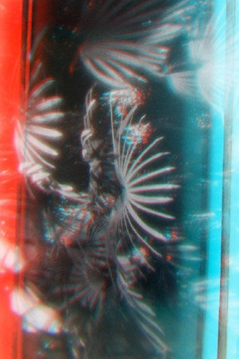 Movie poster for Lomokino Greenhouse Stereo (2015)