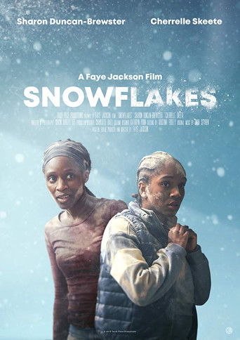 Snowflakes poster