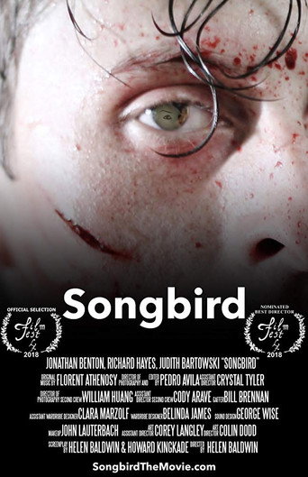 Movie poster for Songbird (2018)