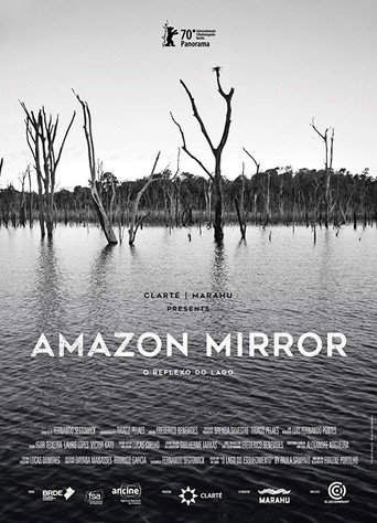 Movie poster for Amazon Mirror (2022)