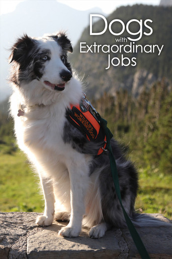 Series poster for Dogs with Extraordinary Jobs (2019)