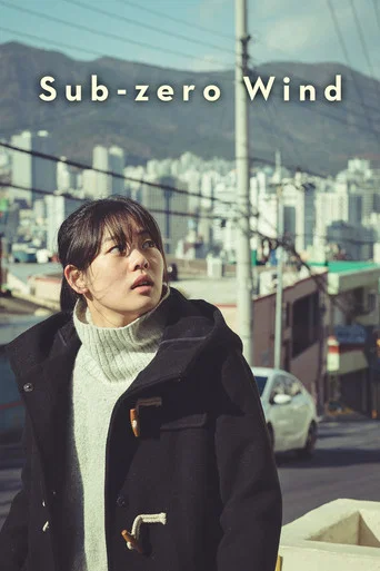 Movie poster for Sub-zero Wind (2019)
