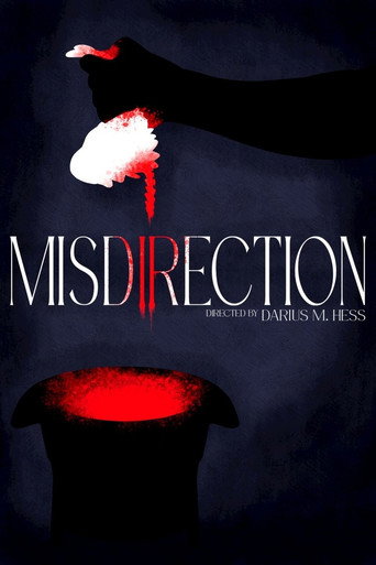 Movie poster for Misdirection (2025)