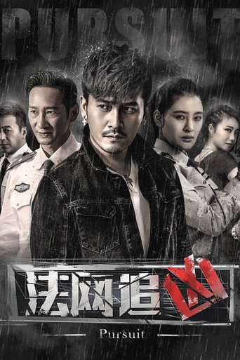 法网追凶 poster