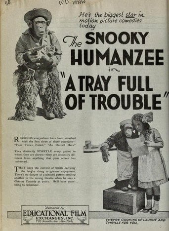 Movie poster for A Tray Full of Trouble (1920)