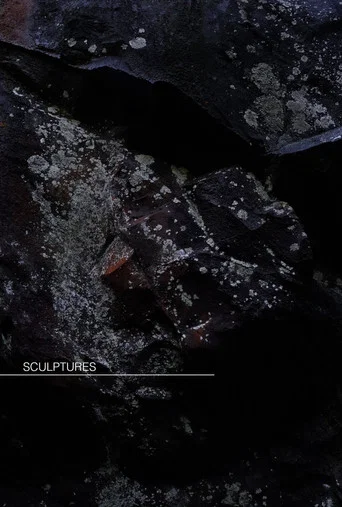 Movie poster for Sculptures