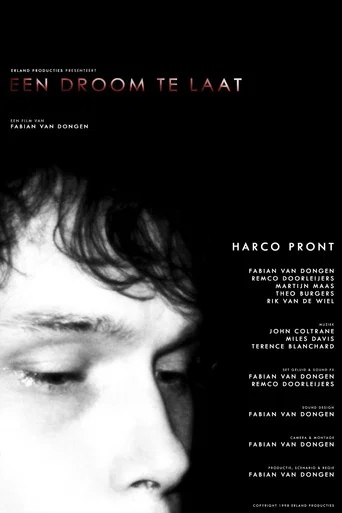Movie poster for Een Droom Te Laat (1996)