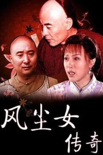 风尘女传奇 poster