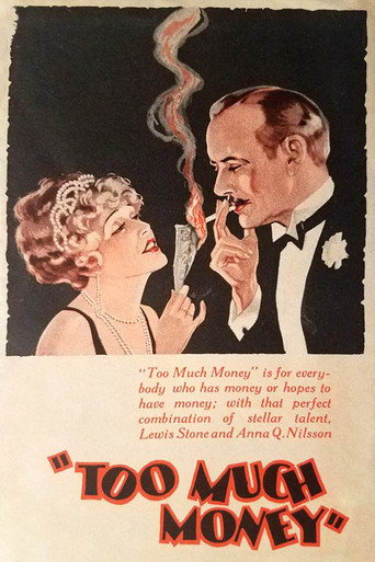 Movie poster for Too Much Money (1926)