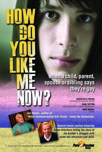 Movie poster for How Do You Like Me Now? (2016)