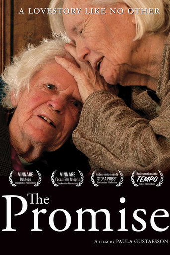 Movie poster for The Promise (2017)