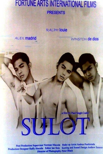 Movie poster for Sulot (2011)