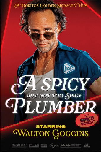 A Spicy but Not Too Spicy Plumber poster