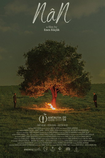Movie poster for NâN (2024)