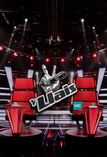 The Voice poster