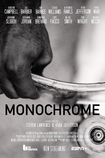 Movie poster for Monochrome