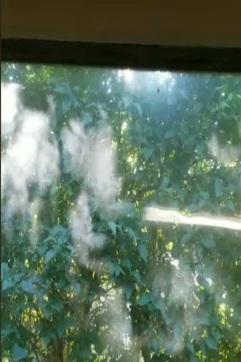 Movie poster for Leaves of Light (2022)
