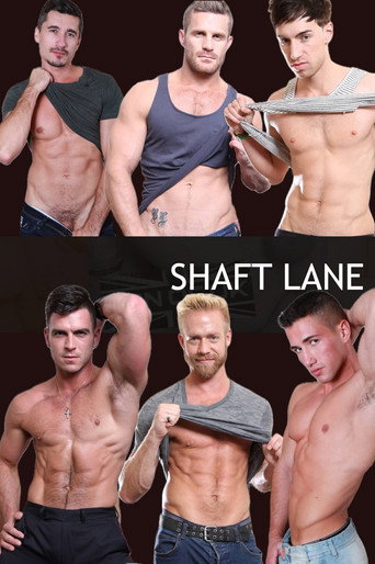Movie poster for Shaft Lane (2013)