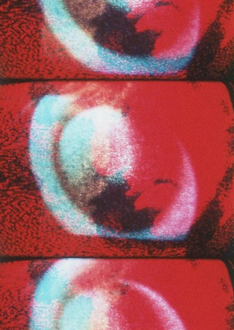 Movie poster for Video Self-Portrait (1971)