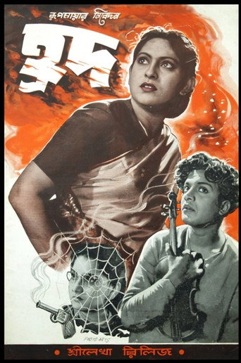 Movie poster for Hrad (1955)